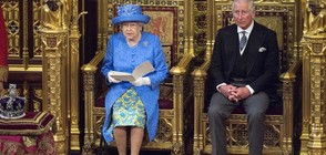 Общността на нациите реши: Принц Чарлз ще наследи майка си на лидерския пост