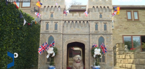 Британско куче се шири в умален модел на замъка Уиндзор