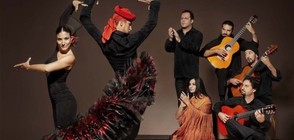 Антонио Нахаро: Фламенкото е едно от испанските бижута