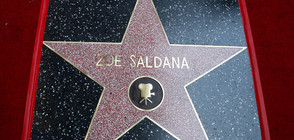 Актрисата Зоуи Салдана със звезда на Алеята на славата (СНИМКИ)
