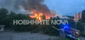 Стока за 3,9 милиона лева е имало в изгорелия склад в София (ВИДЕО+СНИМКИ)