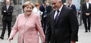 Меркел: Ти, Бойко, се справи прекрасно по темата за Западните Балкани