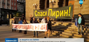 В ЗАЩИТА НА ПИРИН: Пореден протест се проведе в София