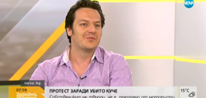 Протест заради убито куче на пешеходна пътека
