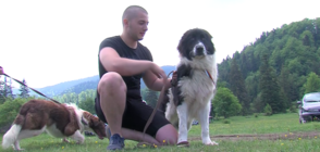 Български овчарски кучета дефилираха на изложба в Нова Махала (ВИДЕО)