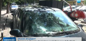 Огромно дърво падна върху кола на оживена улица в Пловдив (ВИДЕО)