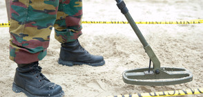 Дания отделя 30 млн. крони за разминиране в Сирия