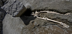 Откриха тяло на 2 000 г. на загинал при изригването на Везувий (СНИМКИ)