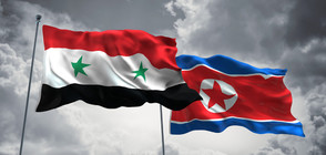 Башар Асад иска да се срещне с Ким Чен-ун