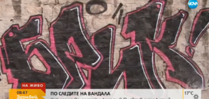 ПО СЛЕДИТЕ НА ВАНДАЛА: Кой изрисува десетки фасади в Пловдив?