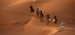 “Без багаж“ в Сахара