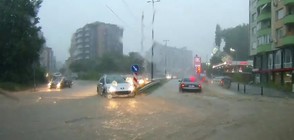 Бурята в София отнесе регистрационните табели на десетки коли