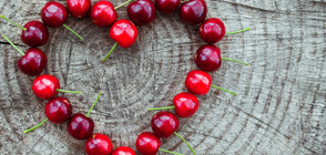 Двуметрова торта от череши на празника на вкусния плод в Кюстендил