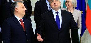 Борисов и Орбан на едно мнение за затваряне на границите за мигранти
