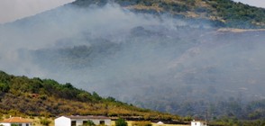 Голям пожар се разгоря в парк „Бакаджика” в Ямбол (ВИДЕО)