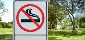 Забраниха пушенето в паркове и градини в Страсбург