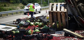 Дини и домати се разпиляха на магистрала "Струма" след катастрофа (ВИДЕО+СНИМКИ)