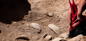 Израелски археолози откриха керамични съдове на 2000 години