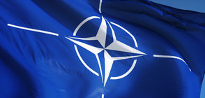 СРЕЩАТА НА НАТО: Лидерите обсъждат Украйна, Грузия и Афганистан