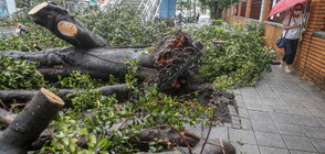 Мощният тайфун "Мария" продължава да сее хаос в Източна Азия (СНИМКИ)