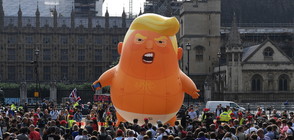 ПРОТЕСТ: Тръмп е "голямо, ядосано бебе с крехко его и малки ръчички" (ВИДЕО+СНИМКИ)