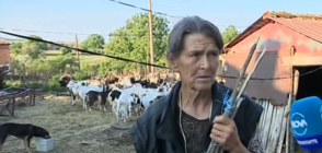 Баба Дора: Животните ми не са болни, обичам ги като деца (ВИДЕО)