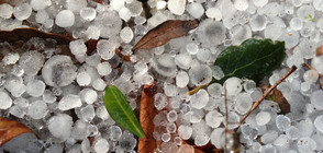 Нов данък "Градушка" вдига цените на застраховките?