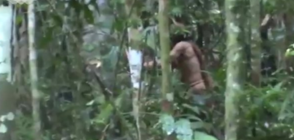 УНИКАЛНО: Заснеха последния оцелял от избито амазонско племе (ВИДЕО)