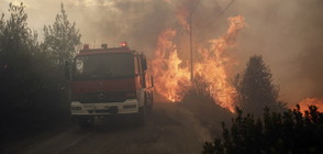 ИЗВЪНРЕДНО ПОЛОЖЕНИЕ В АТИНА: Над 60 са загиналите в пожарите (ВИДЕО+СНИМКИ)