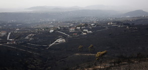 АПОКАЛИПТИЧНА КАРТИНА: Опустошителният пожар в Атина (НЕИЗЛЪЧВАНИ КАДРИ)