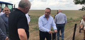 СРЕЩУ ЧУМАТА ПО СВИНЕТЕ: Изграждат телена ограда по границата с Румъния (СНИМКИ)