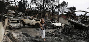 Тридневен траур в Гърция, жертвите на пожарите са над 60 (ВИДЕО+СНИМКИ)