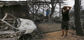Създадоха сайт, в който да се вписват изчезналите при пожарите в Гърция