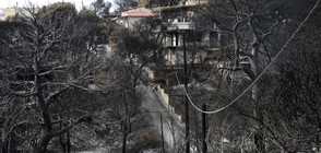 Умишлен палеж най-вероятно причинил невиждания пожар в Атина