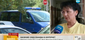 Арнаудова: Момчето, намушкало съученик, твърди, че е провокирано