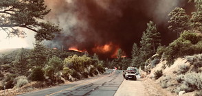 ОПАСНИ ПЛАМЪЦИ: Пожарите - с дълготраен негативен ефект върху Земята (ВИДЕО)