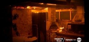 В Темата на NOVA на 29 юли очаквайте: Огнен ад в Гърция