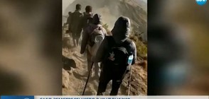 СЛЕД ТРУСА В ИНДОНЕЗИЯ: Стотици туристи блокирани в планините