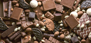 Компания търси 60 дегустатори на шоколад