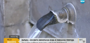 Вършец отбелязва Празника на минералната вода и Балкана (ВИДЕО)