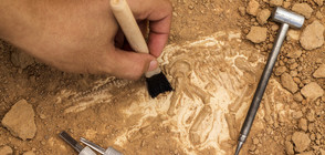 Откриха уникална антична гробница в центъра на София