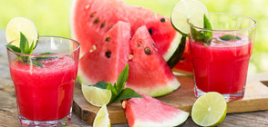 Световен ден на динята е – любопитни факти