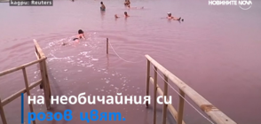 Лагуна в Украйна привлича туристи с розовите си води (ВИДЕО)