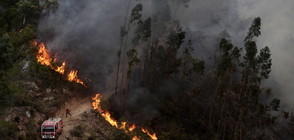 Жегите разпалиха нови пожари в Португалия и Испания (ВИДЕО)