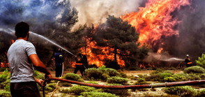 СЛЕД ОГНЕНИЯ АД: Уволниха шефовете на полицията и пожарната в Гърция