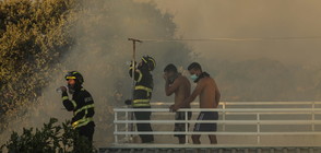 Паника и евакуация в Португалия заради горски пожари (ВИДЕО+СНИМКИ)