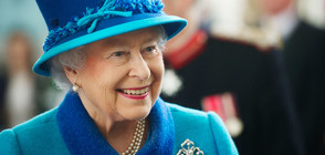Невъзпитано пони постави кралица Елизабет в неудобно положение (СНИМКИ)