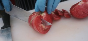 Над 280 кг негодни храни са иззети при проверки по Черноморието