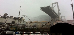 Каква е причината за рухването на моста в Генуа? (ВИДЕО)