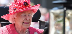 Елизабет II пътува без паспорт по света, шофира без книжка и още…